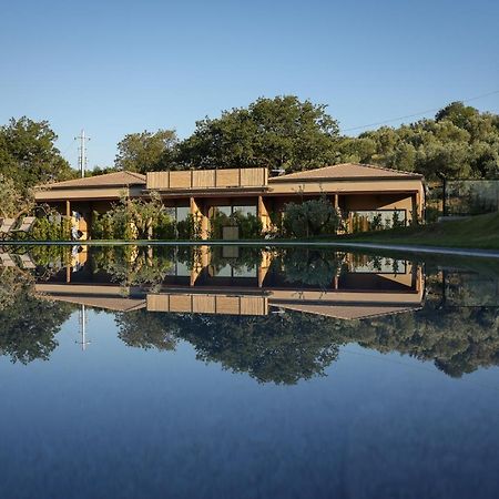 Hang Loose Cottage Hotel & Resort 4 Stelle Gizzeria Calabria Exterior photo